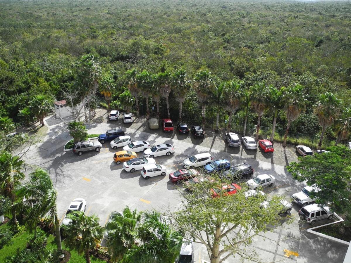 Apartment El Palmar Luxury Xl Oceanview *